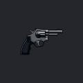 Funtinkerrippl Revolver Cylinder Icon